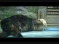 動画:また取られた・・・
