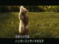 動画:【映画】 スパイアニマル・Gフォース (字幕)